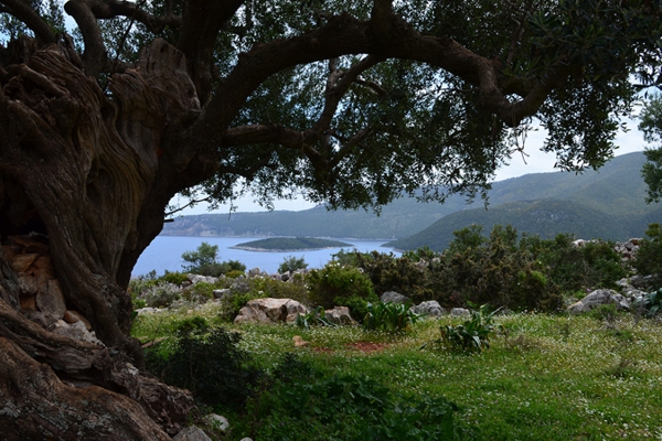 Walking Trails Greece